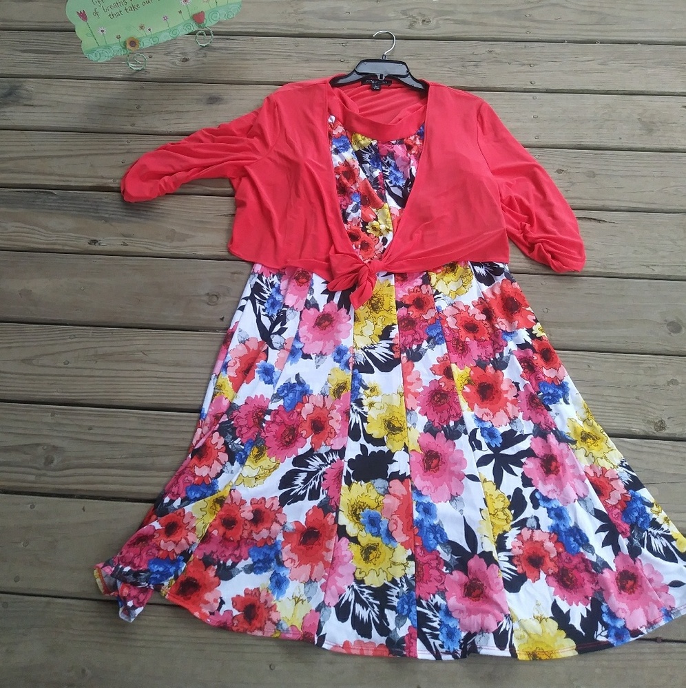 NWT dress with sweater